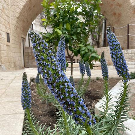 Lamanna House Polignano a Mare Kültér fotó