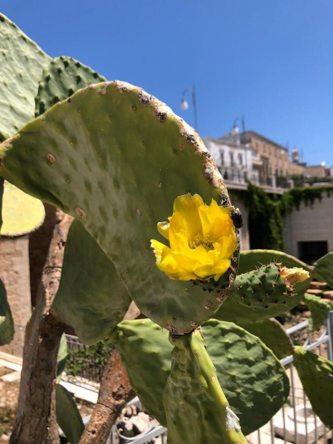 Lamanna House Polignano a Mare Kültér fotó
