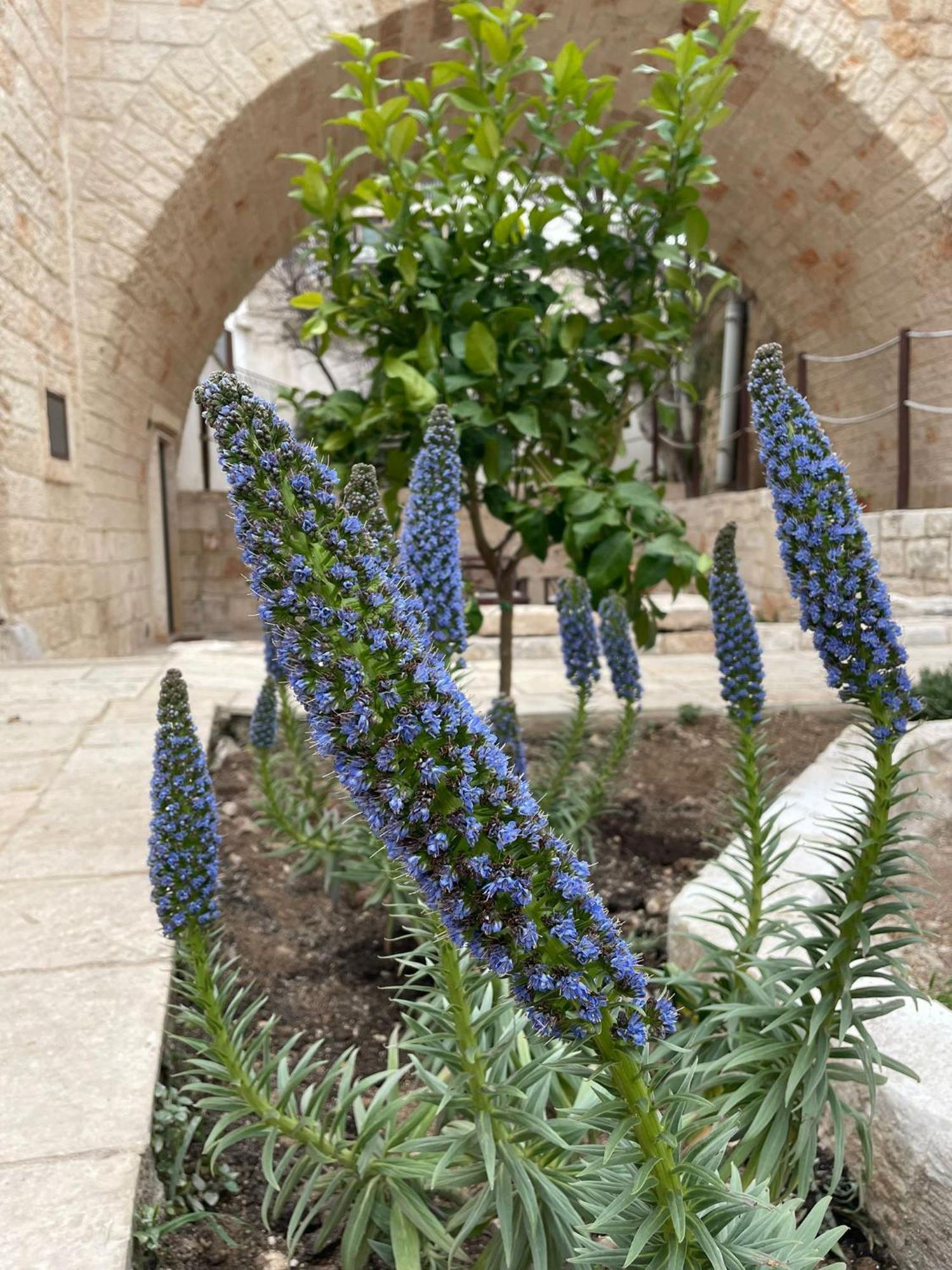 Lamanna House Polignano a Mare Kültér fotó